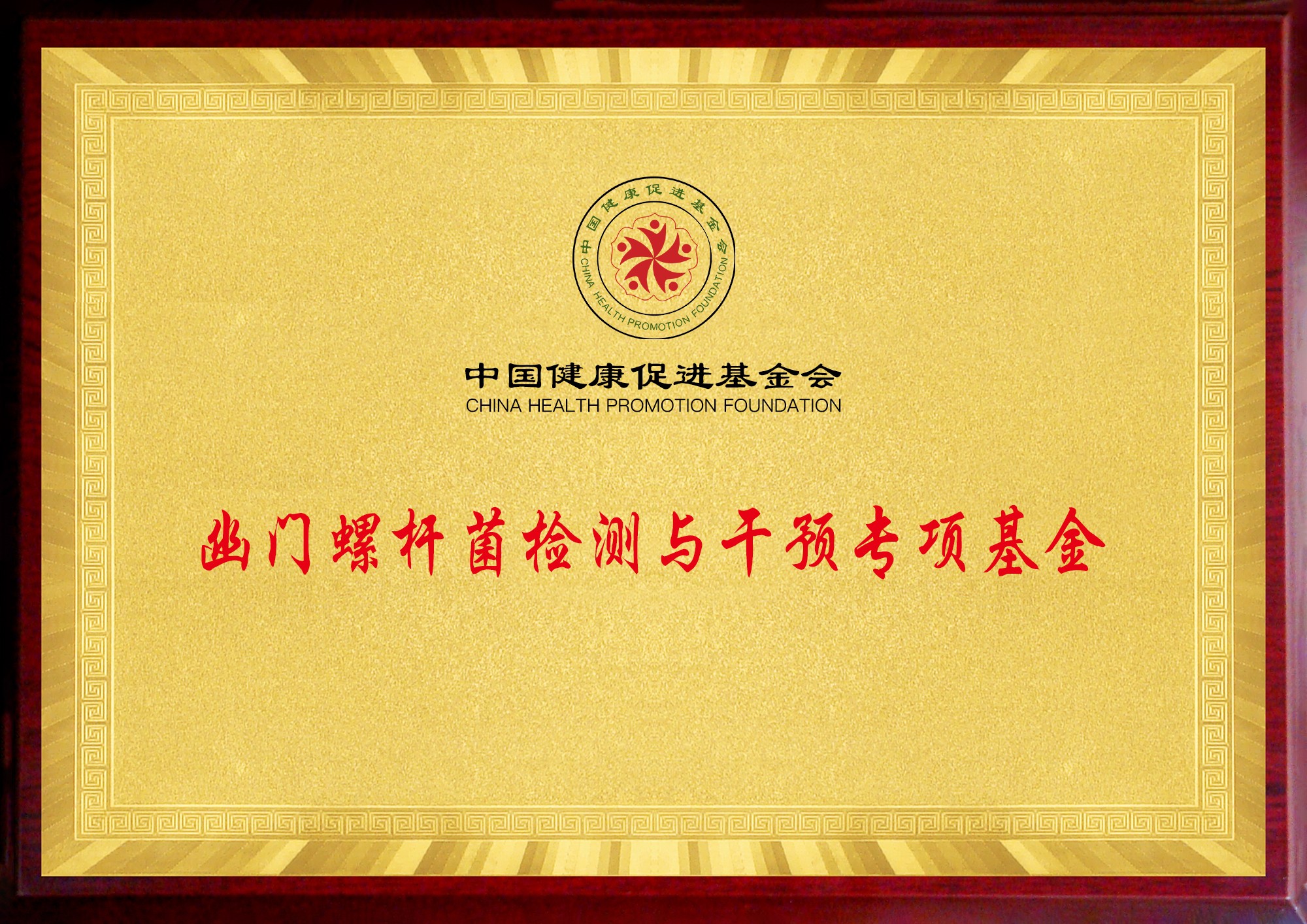 幽門(mén)螺桿菌檢測與干預專(zhuān)項基金.jpg